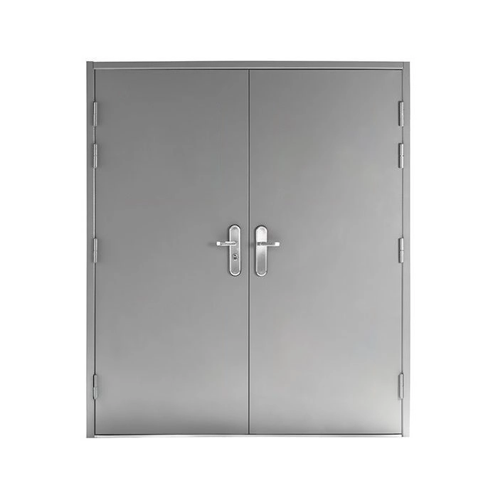 Double Steel Security Door