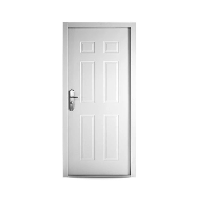 6-Panel Steel Security Door